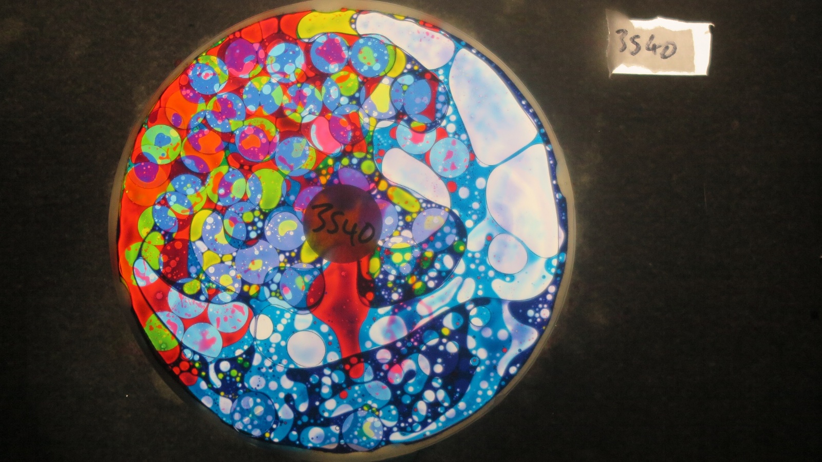 BV3540 bubble vision oil wheel